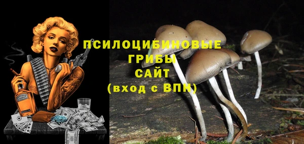 амф Бронницы