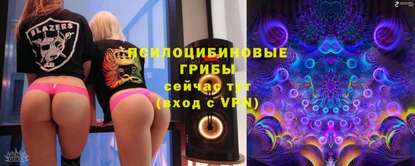 синтетический гашиш Богородицк