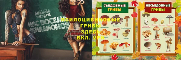 дурь Богородск