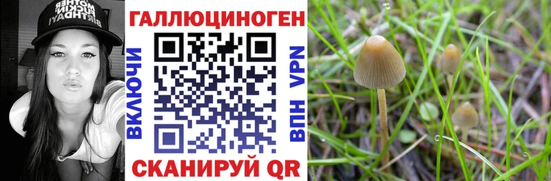 Галлюциногенные грибы мухоморы  Купить где  Каргополь 